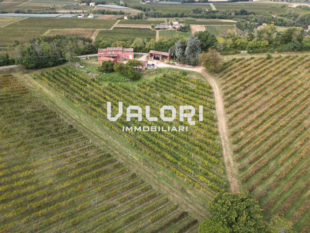 PODERE AGRICOLO DI CIRCA HA 31 OLTRE A CORTE CON CASA COLONICA E SERVIZI
