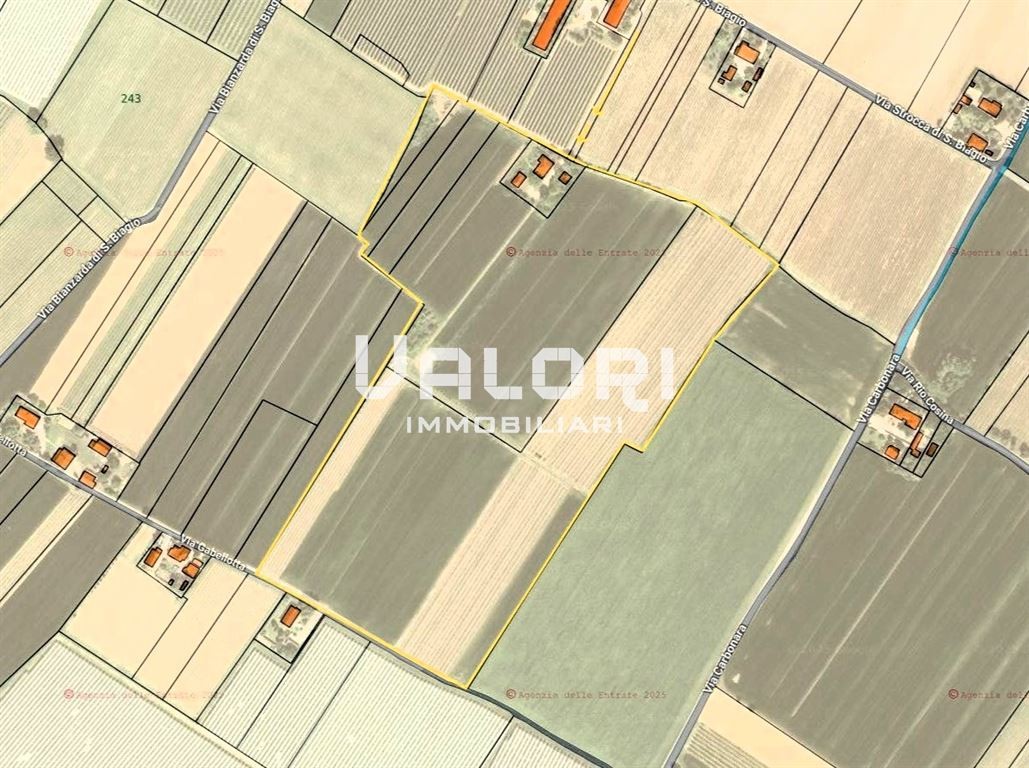 PODERE AGRICOLO DI HA 14.5 CON CASA COLONICA E SERVIZI